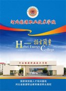 400-6605-933 同题参见