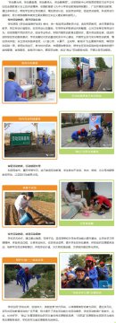 专题活动