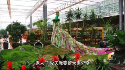 欢迎来到星空在线官网常用功能