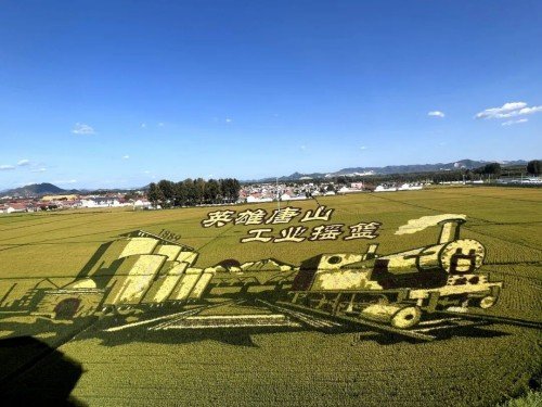 以“爱祖国・爱家乡・爱校园”为主题举